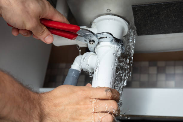 Best Local water damage restoration  in Lakeland Highlands, FL