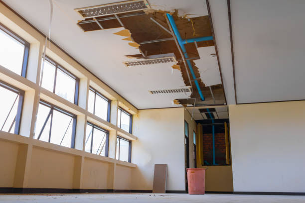Best Water damage restoration near me  in Lakeland Highlands, FL