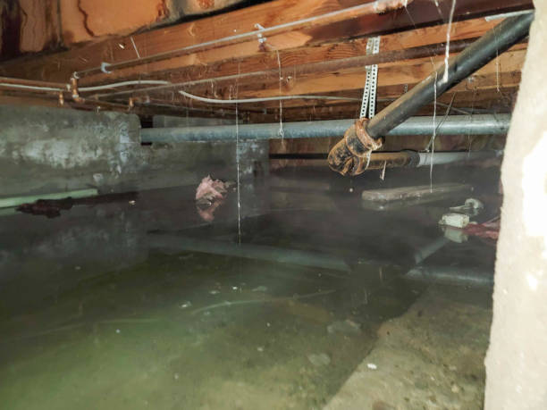 Best Sewage cleanup and water damage restoration  in Lakeland Highlands, FL