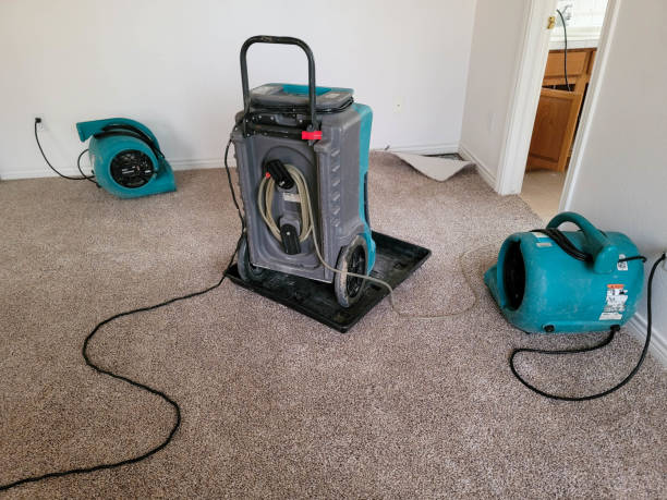 Best Water damage restoration insurance claims  in Lakeland Highlands, FL