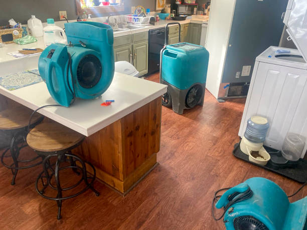 Best Professional water damage repair  in Lakeland Highlands, FL
