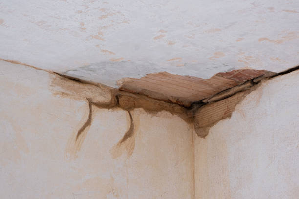 Lakeland Highlands, FL Water damage restoration Company