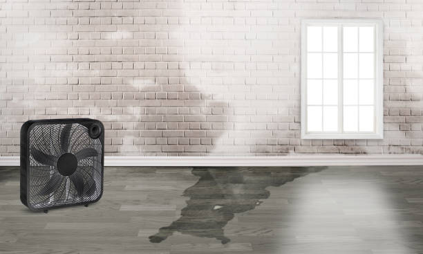 Best Fire Damage Restoration  in Lakeland Highlands, FL
