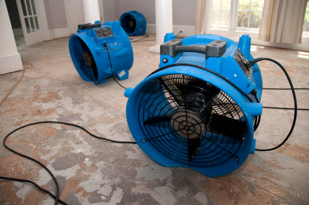 Best 24-hour water damage restoration  in Lakeland Highlands, FL