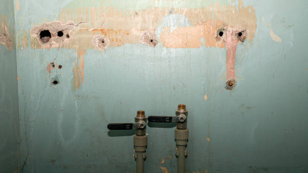Carpet water damage restoration in Lakeland Highlands, FL
