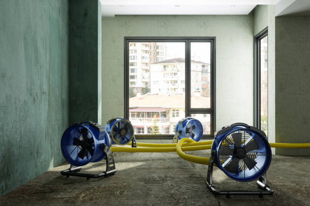 Best Emergency water damage restoration  in Lakeland Highlands, FL